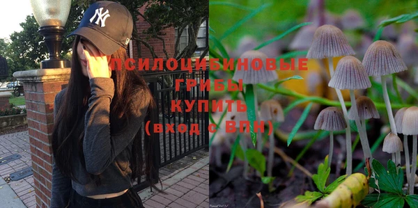 ECSTASY Алексеевка